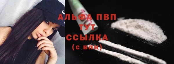 ешки Богданович