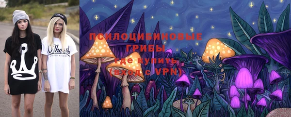 бошки Богородск