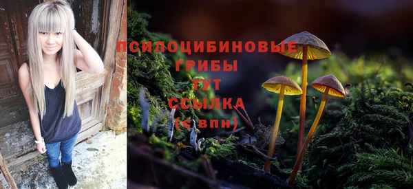 стафф Богородицк