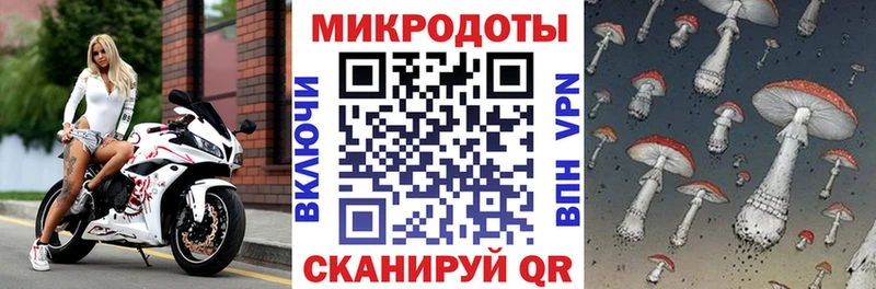 где купить наркотик  Волгореченск  Псилоцибиновые грибы Cubensis 